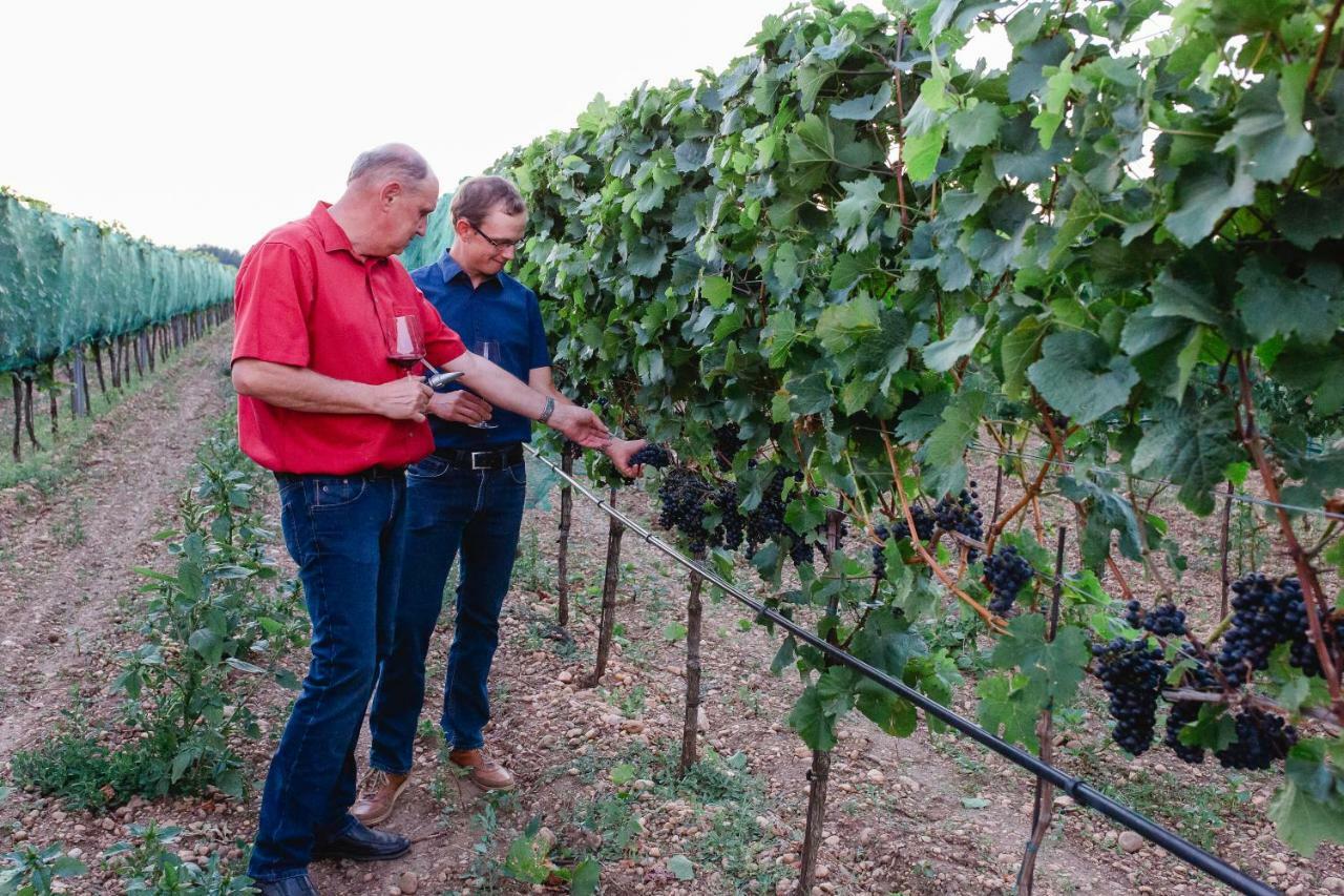 Weingut Gastehaus Palkowitsch Illmitz Exterior foto